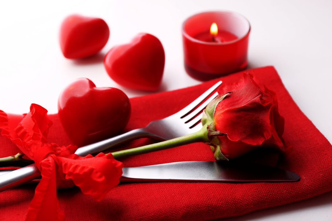 Обои День Святого Валентина, лепесток, цветок, Роза, любовь в разрешении 6560x4373