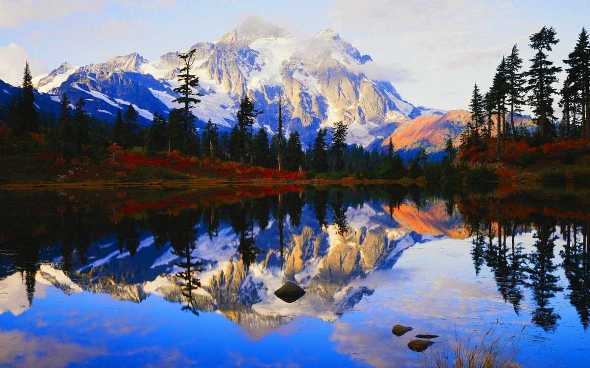 Обои подарочная карта cabelas 20, Кабелас, подарочная карта cabelas, подарочная карта, бас про магазины в разрешении 1920x1200