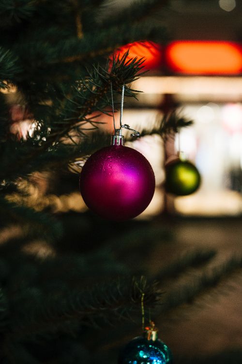 Обои Рождественский день, рождественский орнамент, дерево, Рождество, елка в разрешении 3840x5760