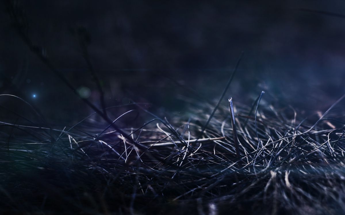 Обои вода, ночь, макросъемка, неба, боке в разрешении 2560x1600