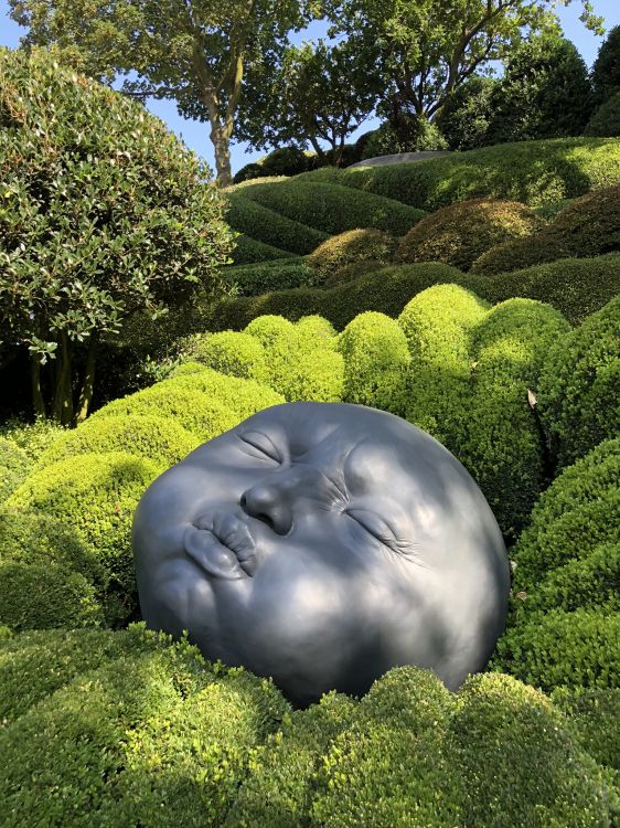 Обои природа, пейзаж, растительность, растительное сообщество, сад в разрешении 1536x2048