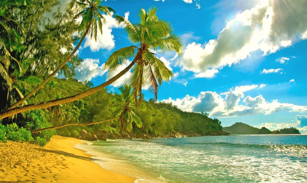 Обои пляж, море, берег, природа, тропическая зона в разрешении 2560x1526