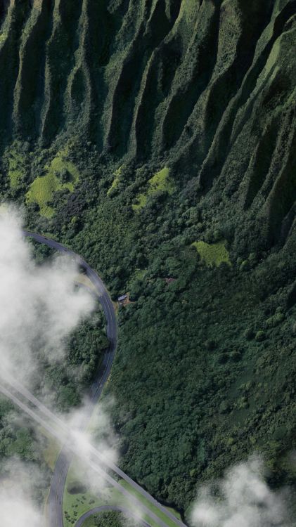 Обои Google Pixel 2 вживую, Пиксель Google 3 ХL, пиксель, Пиксель Google 2 ХL, андроид в разрешении 1080x1920