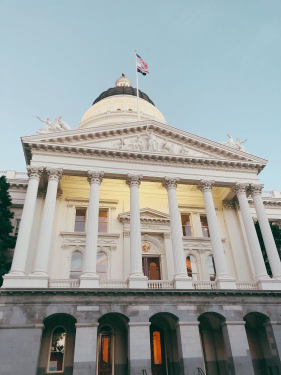 Обои Капитолий штата, окно, классическая архитектура, флаг, природа в разрешении 3024x4032