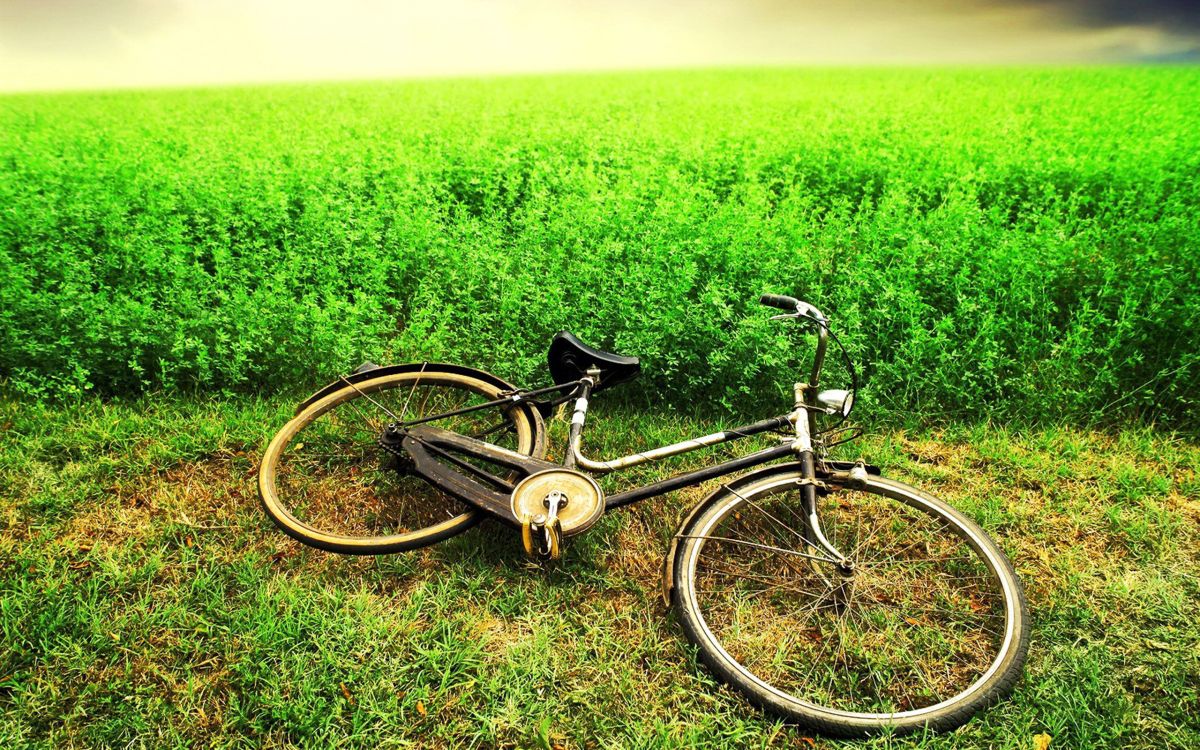 Обои велосипед, велосипедное колесо, зеленый, части велосипеда, велосипед аксессуар в разрешении 2560x1600