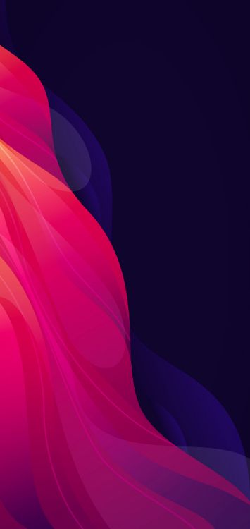 Обои лепесток, пурпур, Фиолетовый, пурпурный цвет, полутона и оттенки в разрешении 1440x3040