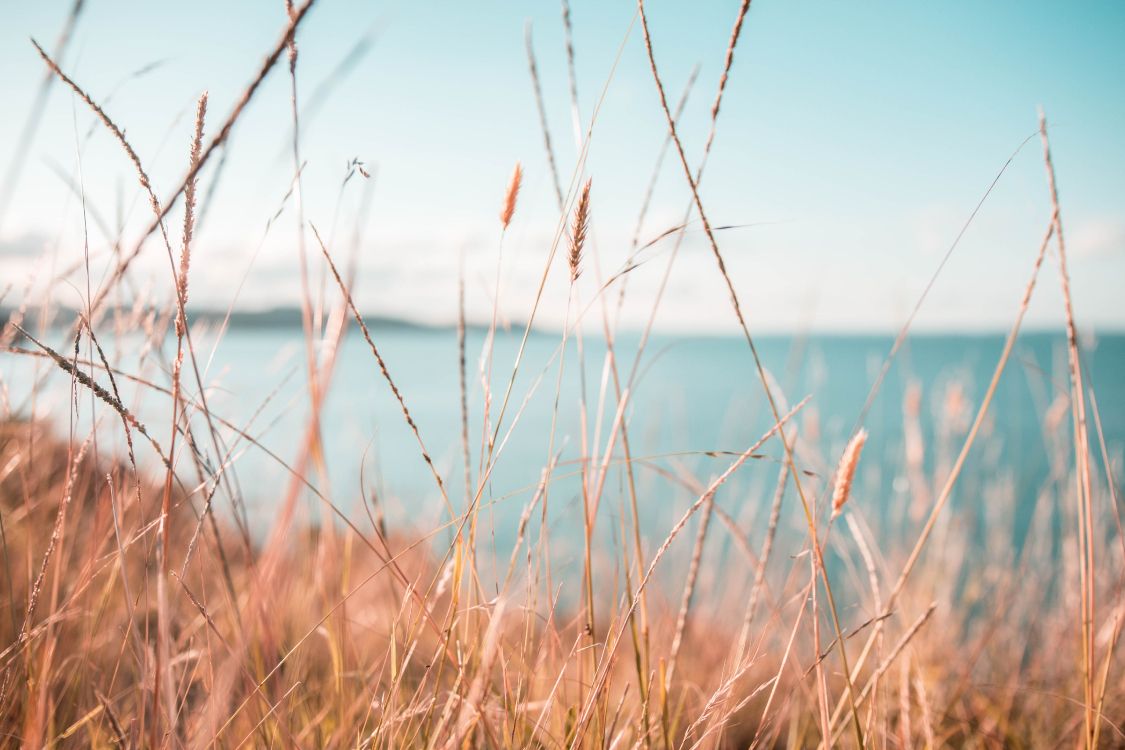 Обои вода, природа, природный ландшафт, синий, окружающая среда в разрешении 5472x3648