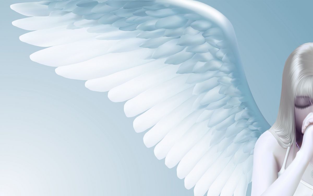 Обои ангел, крыло, фотография, Тема, мечта в разрешении 2560x1600