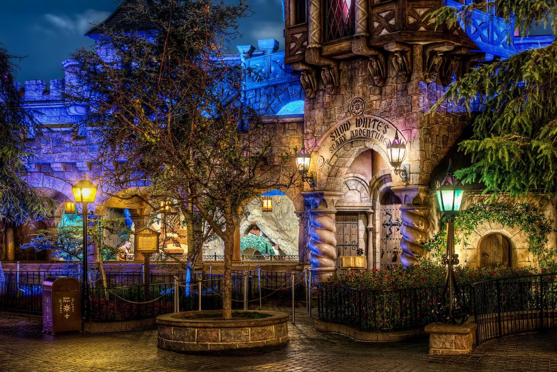 Обои парк развлечений, ночь, освещение, дерево, Диснейленд в разрешении 3456x2305