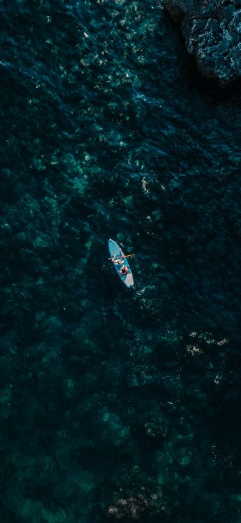 Обои вода, морская биология, наука, судно, лодка в разрешении 1080x2340