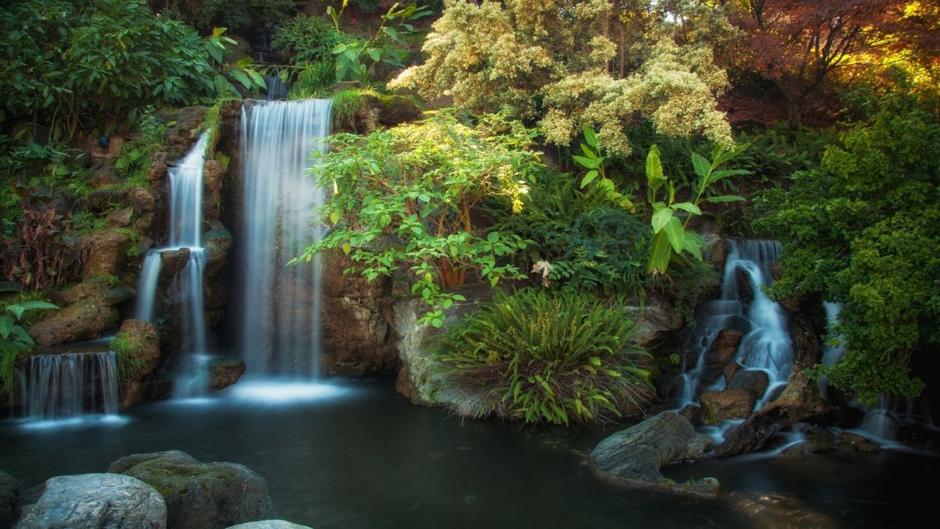 Обои водопад, водоем, гидроресурсы, природа, растительность в разрешении 2560x1440