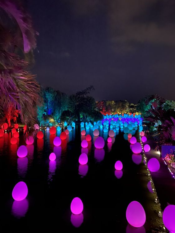 Обои свет, физика, статистика, наука, пурпур в разрешении 1536x2048