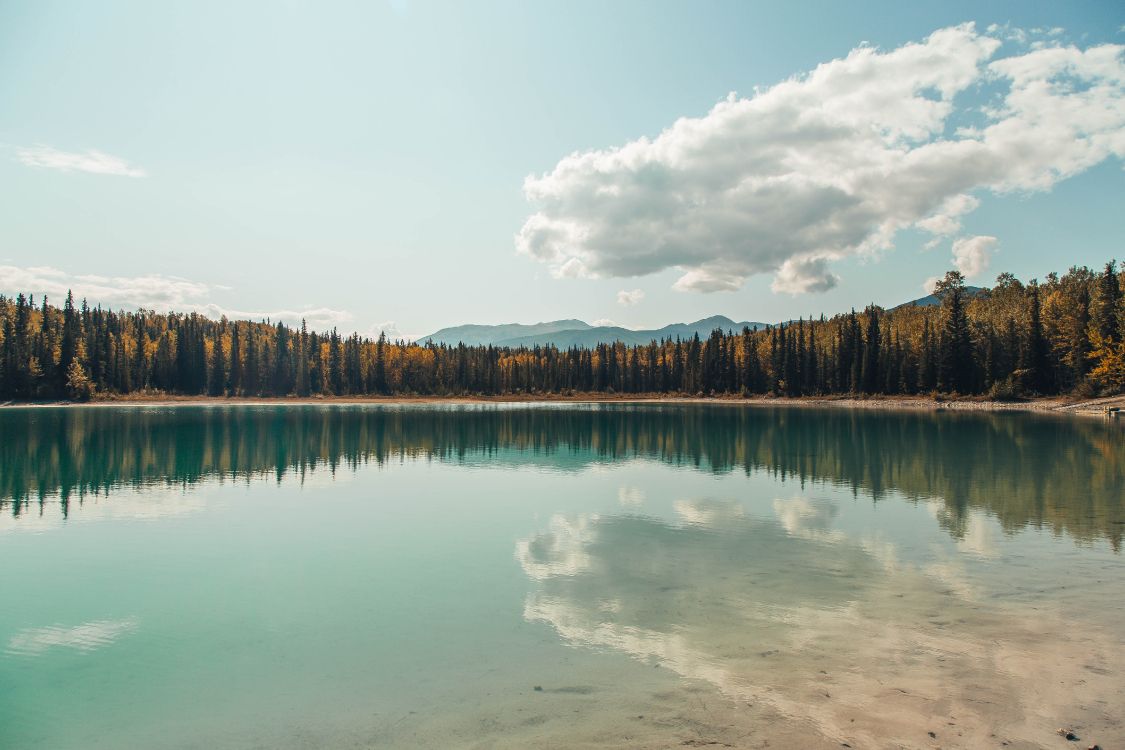 Берег водоема фото