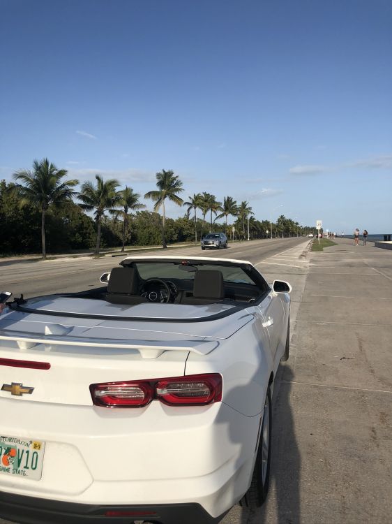 Обои Шевроле камаро, Король, автомобиль среднего размера, автомобильное освещение, автомобильный экстерьер в разрешении 1536x2048