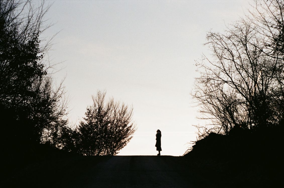 Обои Черный Белый - М, атмосфера, силуэт, утро, ветвь в разрешении 3089x2048