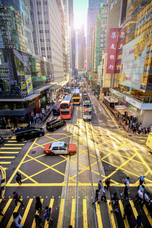 Обои города Гонконга, город, Япония, остров Гонконг, здание в разрешении 1365x2048