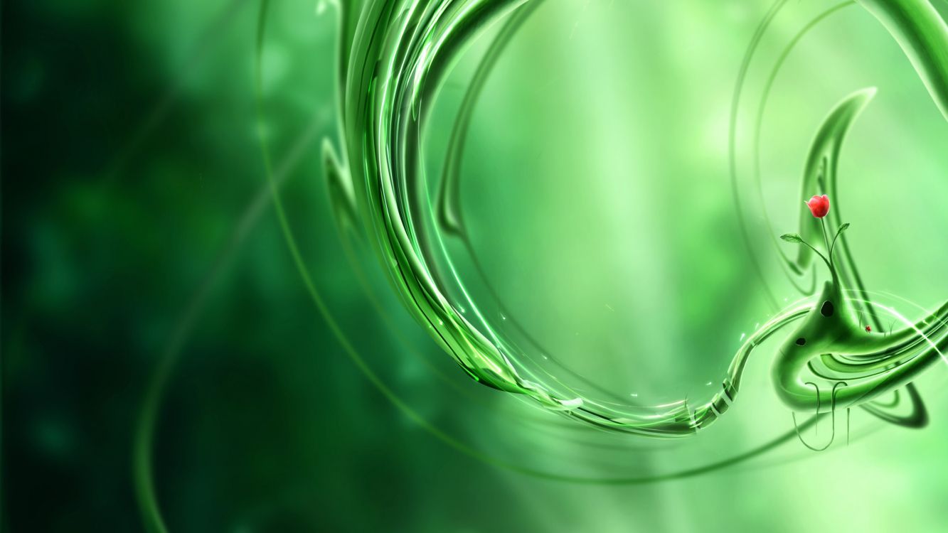 Обои зеленый, вода, Флора, крупный план, падение в разрешении 2560x1440