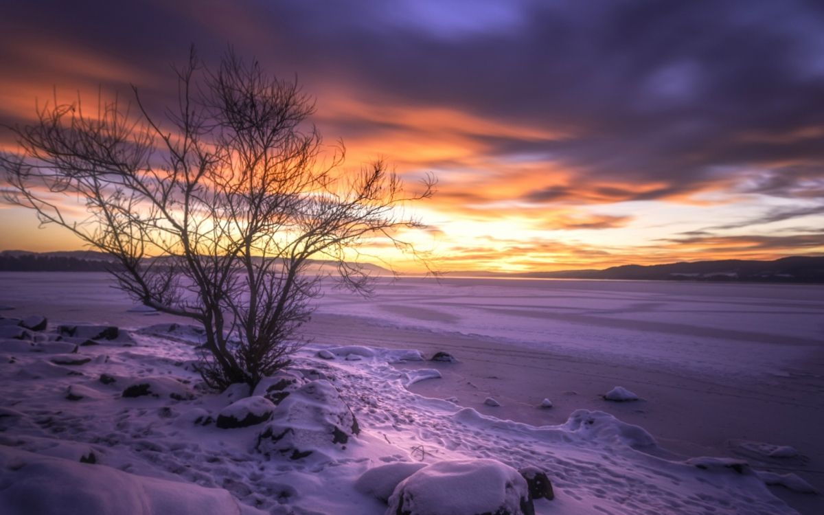 Обои Норвегия, облако, атмосфера, растение, природный ландшафт в разрешении 1920x1200