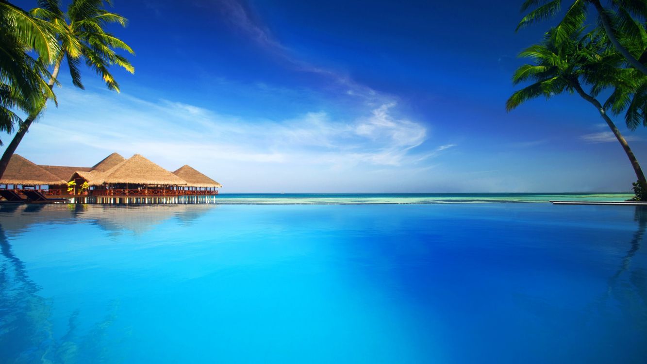 Обои тропическая зона, курортный город, море, океан, Карибский бассейн в разрешении 2560x1440