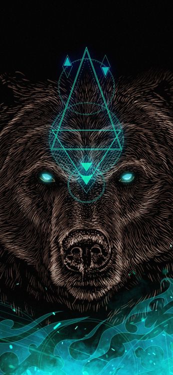 Обои свет, кошачьих, арт, бакенбарды, симметрия в разрешении 1407x3045