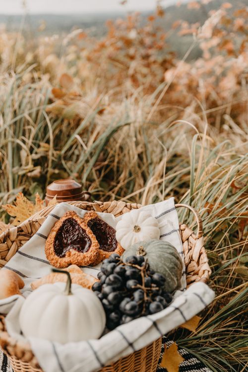 Обои пища, блюда, семейство травы, сладость, растение в разрешении 4912x7360