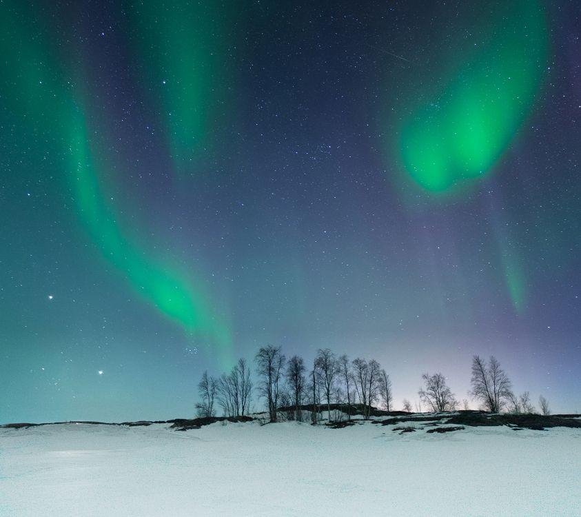 Обои Nokia, Nokia 3.2, nokia 2 акции, Нокиа 8, Nokia 2 в разрешении 1440x1280