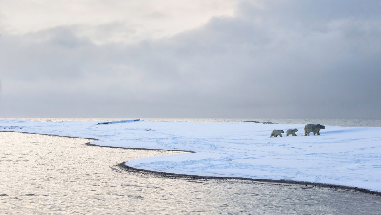 Обои море, Северный Ледовитый океан, природа, берег, океан в разрешении 3000x1688