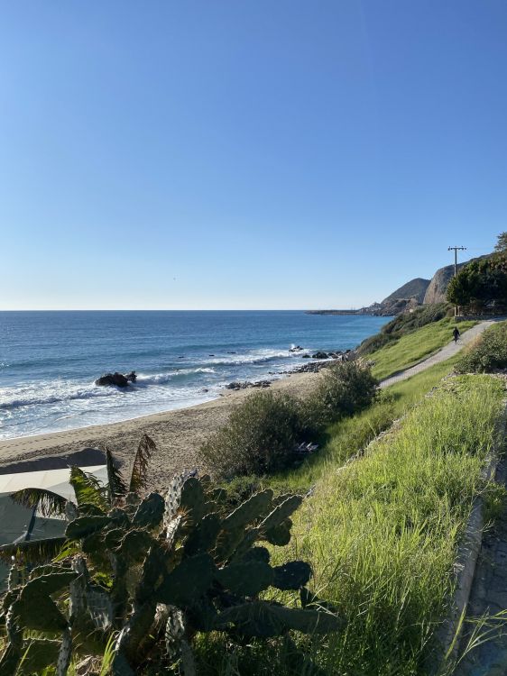 Обои национальный парк Куршская коса, вода, растение, экорегион, природный ландшафт в разрешении 1536x2048