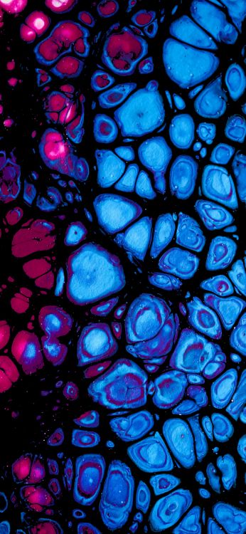 Обои синий кобальт, витраж, фрактальное искусство, арт, симметрия в разрешении 1440x3120