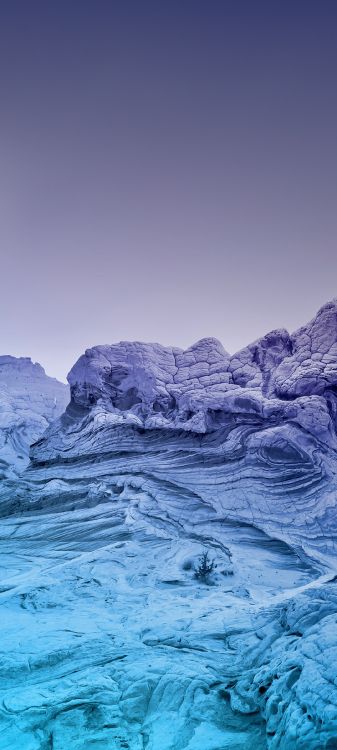 Обои ios, iOS 14, яблоко, зима, ледяная шапка в разрешении 1080x2400