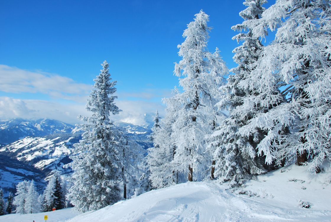 Обои снег, зима, дерево, мороз, гора в разрешении 3872x2592