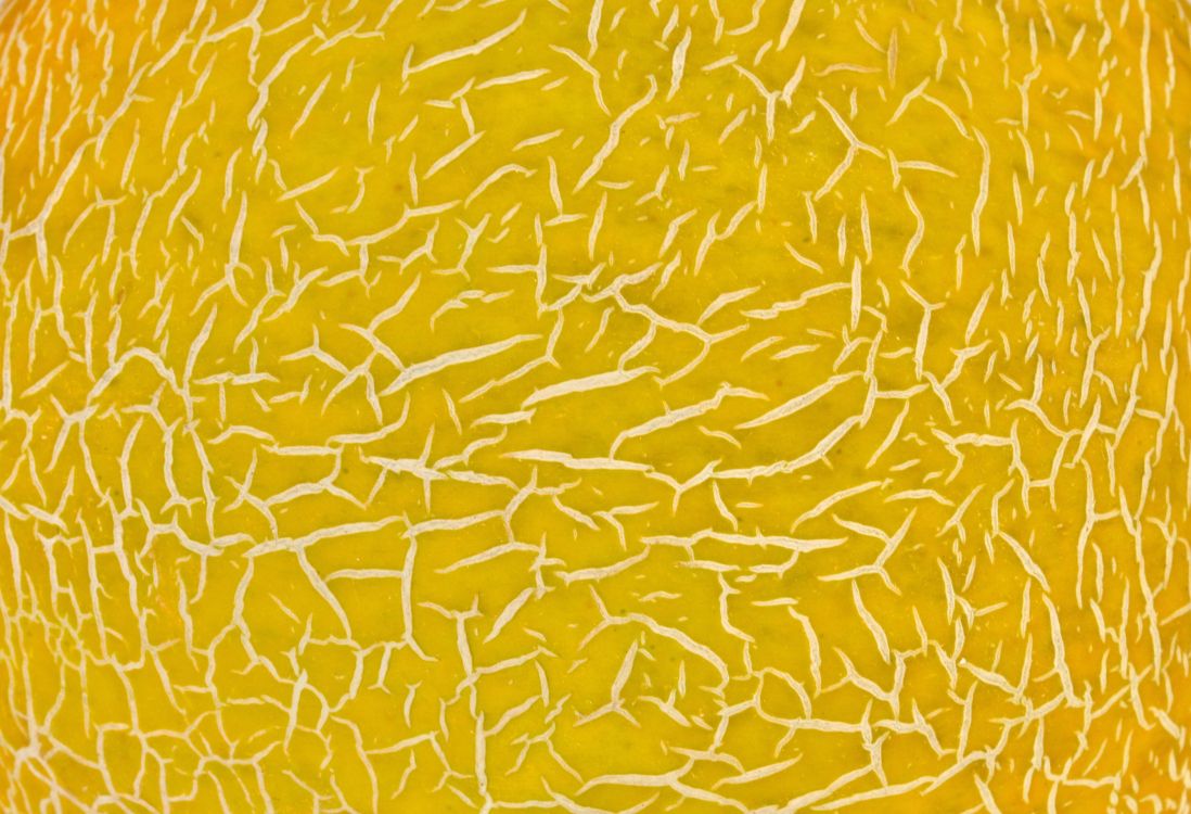 Обои фруктовые текстуры, фрукты, наложение текстуры, желтый, Апельсин в разрешении 3000x2048