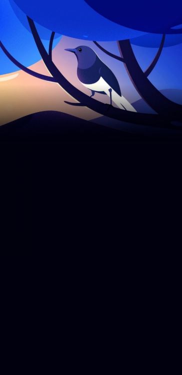 Обои иллюстрация, рисование, графика, дизайн, атмосфера в разрешении 720x1480