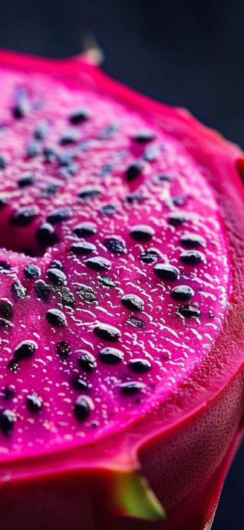 Обои крупный план, вода, лепесток, пурпур, наземное растение в разрешении 1125x2436