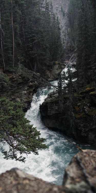 Обои природа, вода, гидроресурсы, растение, природный ландшафт в разрешении 1947x3894