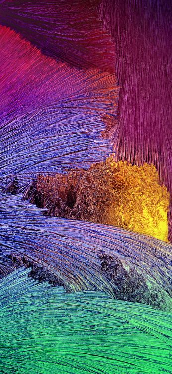 Обои пурпур, Фиолетовый, лаванда, растение, разблокирован в разрешении 1242x2688