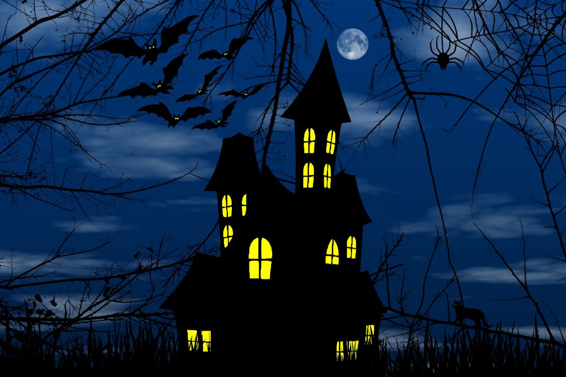 Обои ориентир, вышка, ветвь, архитектура, дерево в разрешении 3000x2000