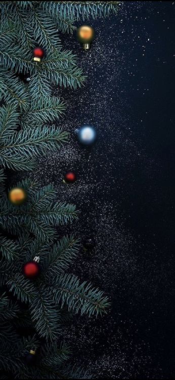 Обои Новый год, Рождество, елка, Рождественский день, праздник в разрешении 1170x2532