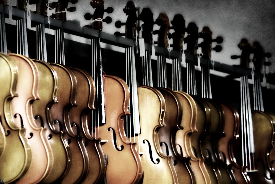 Обои скрипка, басгитара, струнный инструмент, гитара, музыкальный инструмент в разрешении 2560x1707