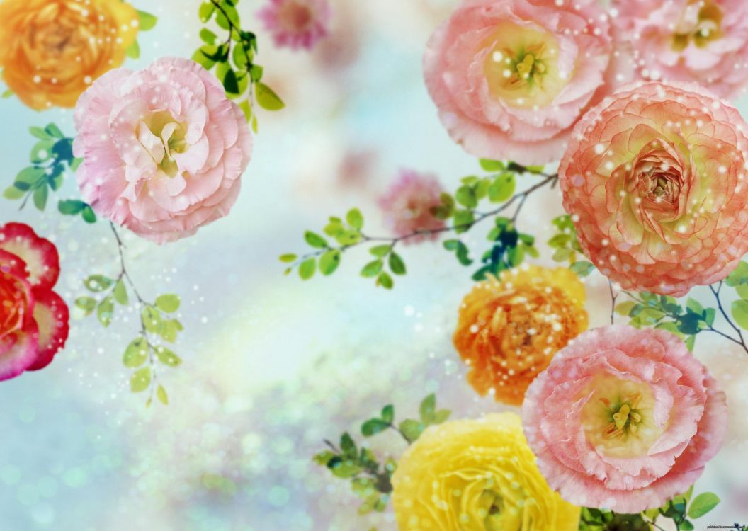 Обои цветок, акварельные краски, розовый, лепесток, Роза в разрешении 2950x2094