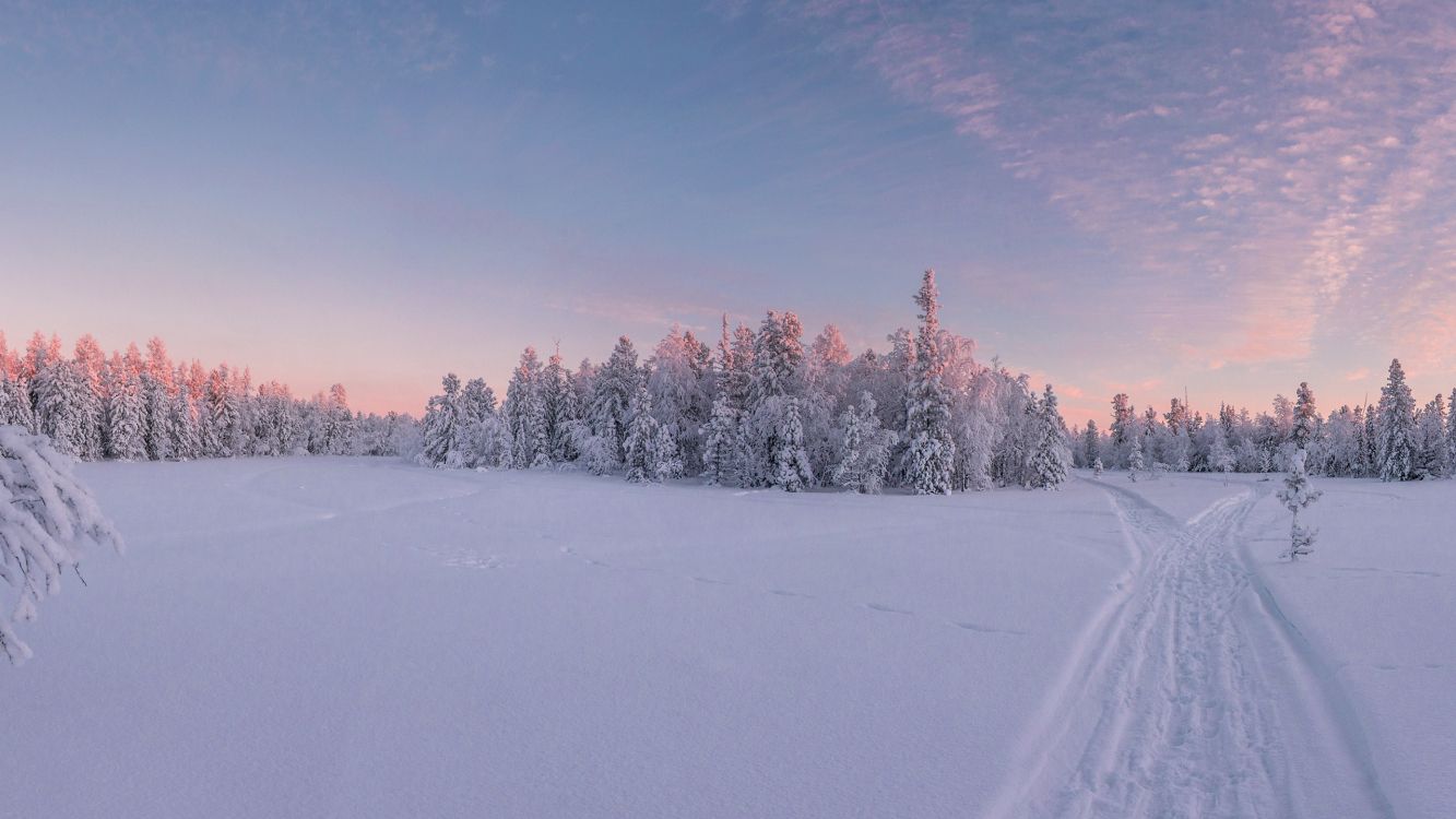 Обои зима, природа, ветвь, синий, дневное время в разрешении 2560x1440