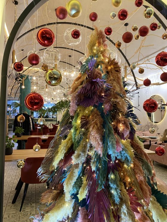 Обои елка, Рождественский день, дерево, наука, биология в разрешении 1536x2048