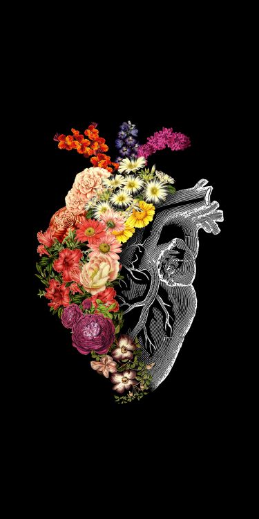 Обои Ганеш Гхат, железосодержащая добавка, сердце, цветок, искусство в разрешении 1080x2160