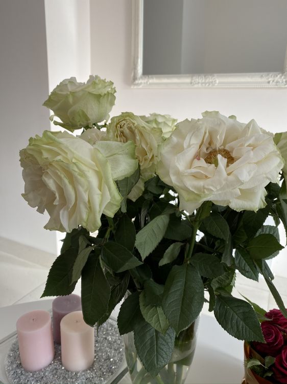 Обои срезанные цветы, цветочный дизайн, сад роз, лепесток, цветок в разрешении 1536x2048