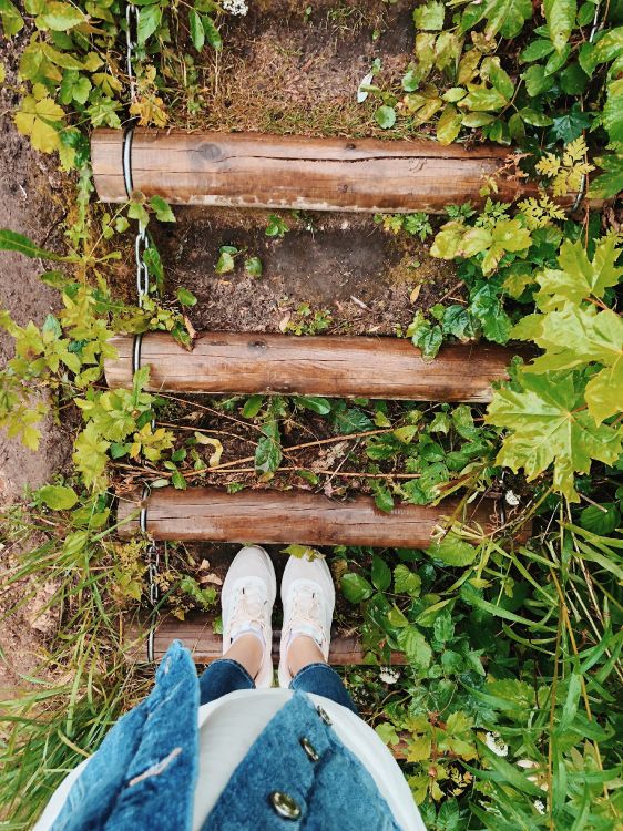 Обои лист, рассада, биология, башмак, джинсовая ткань в разрешении 3024x4032