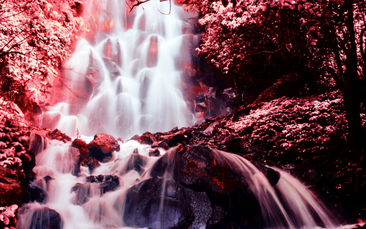 Обои водопад, природа, вода, водоток, дерево в разрешении 2560x1600