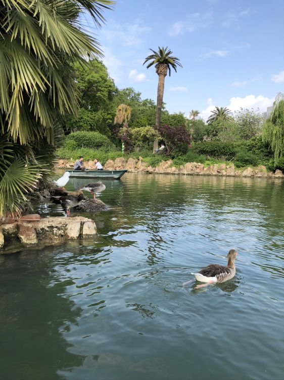 Обои отражение, водоем, гидроресурсы, вода, водный путь в разрешении 1536x2048