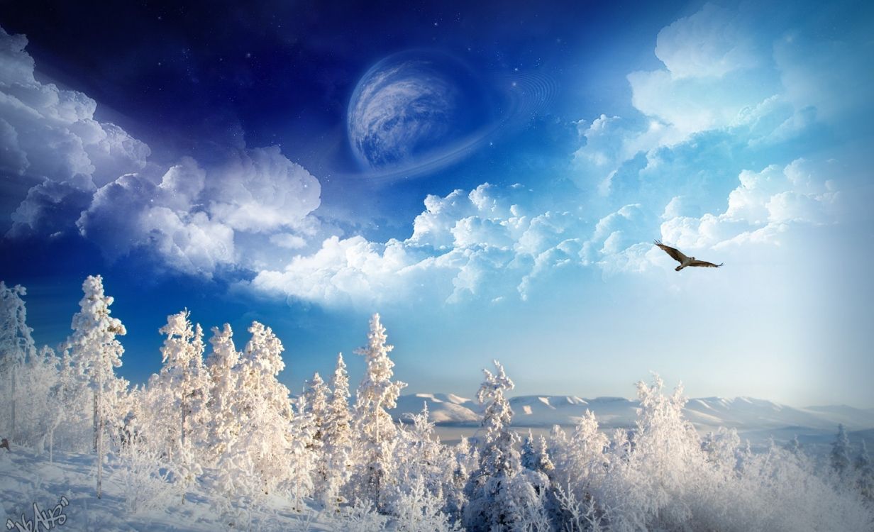 Обои зима, природа, атмосфера, облако, дневное время в разрешении 4000x2435