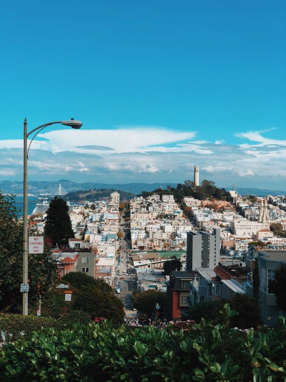 Обои Сан Франциско, уличный фонарь, соседство, городской район, жилой район в разрешении 3024x4032