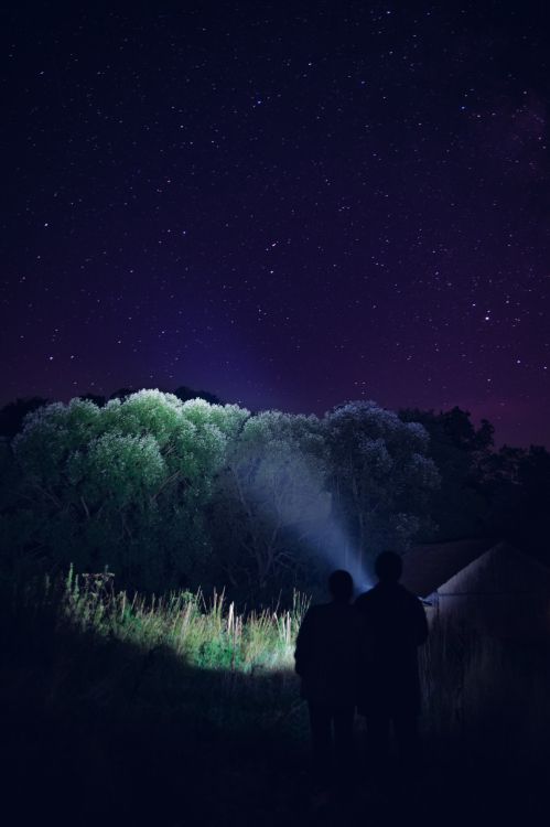 Обои ночь, свет, Аврора, атмосфера, темнота в разрешении 3916x5874